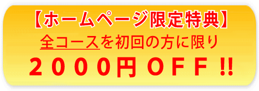 533x187xtokuten.gif.pagespeed.ic.fUWLzomj3V